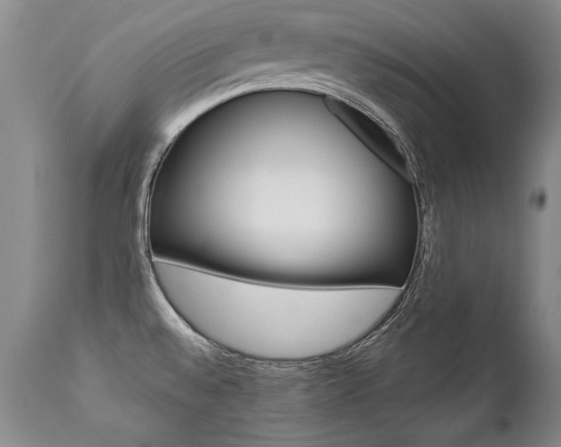 X0000112461528200908171004