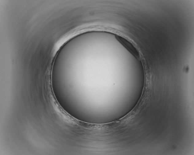 X0000112461530200908171004