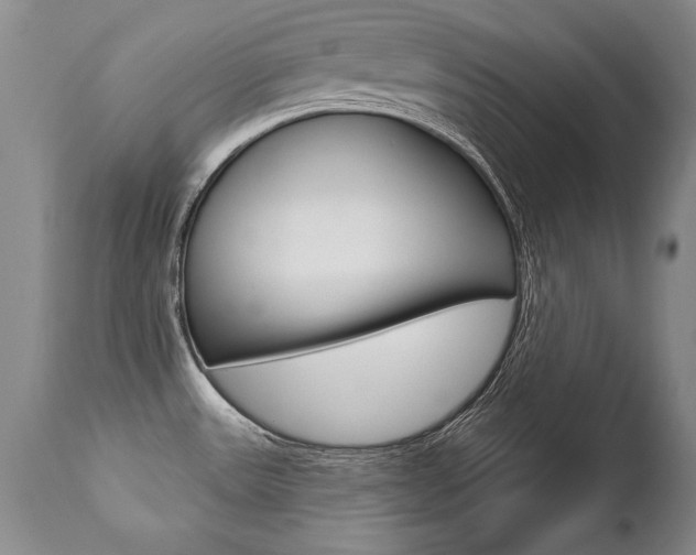 X0000112461531200908171004