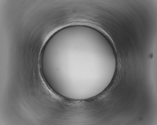 X0000112461533200908171004