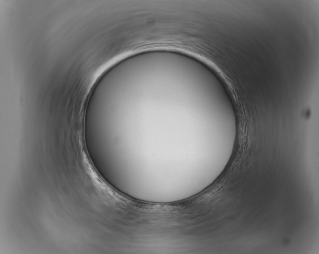 X0000112461534200908171004