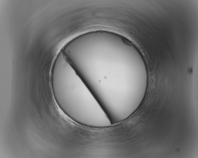 X0000112461535200908171004