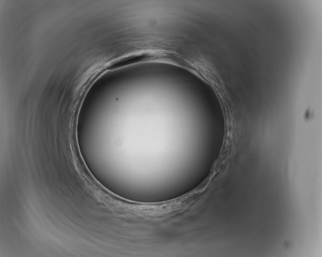 X0000112460001200908171214