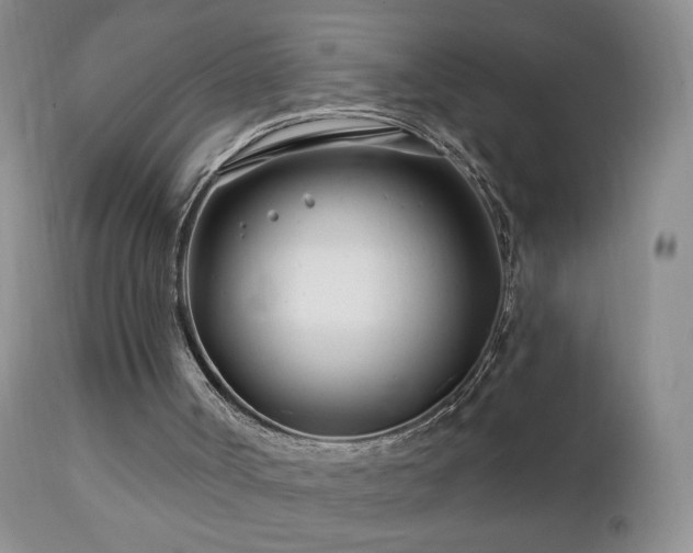 X0000112460002200908171214