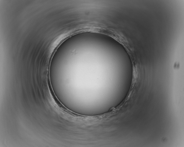 X0000112460003200908171214