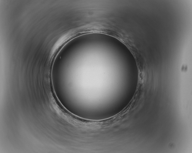 X0000112460004200908171214