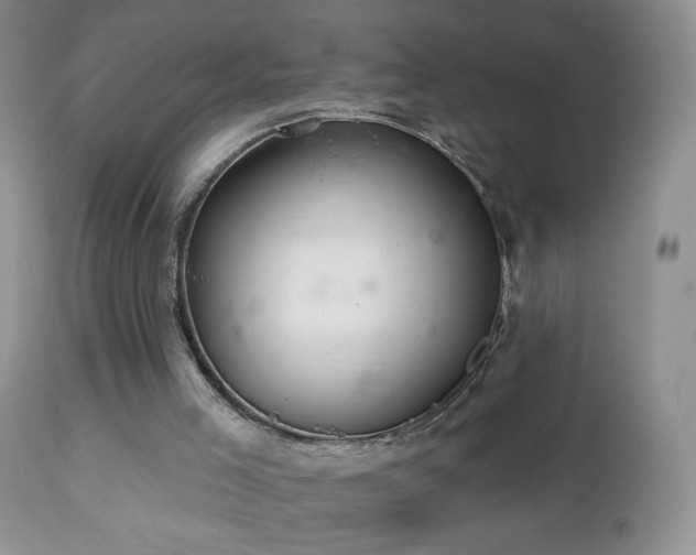 X0000112460005200908171214