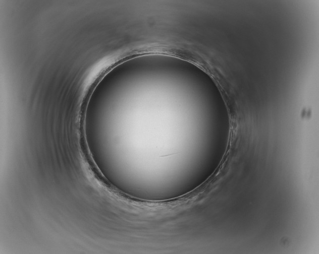 X0000112460006200908171214