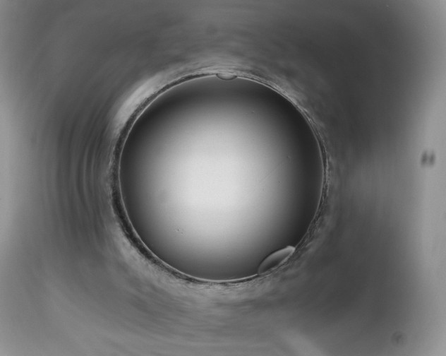 X0000112460007200908171214