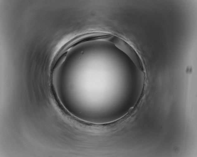 X0000112460008200908171214