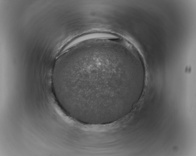 X0000112460009200908171214