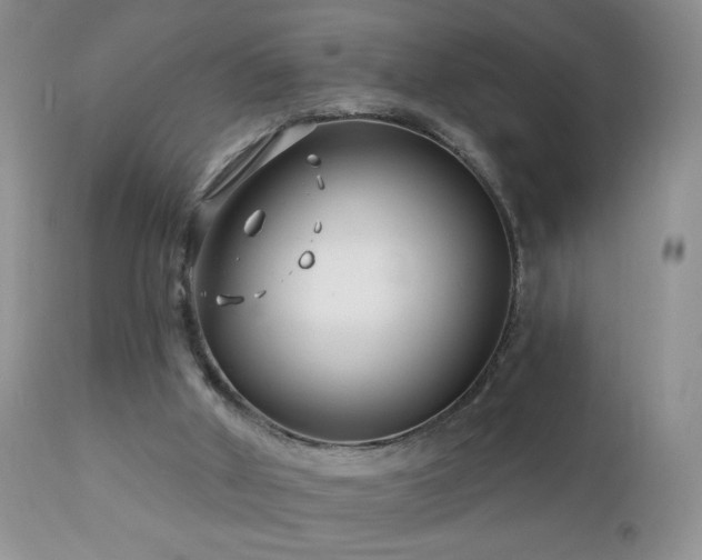 X0000112460010200908171214