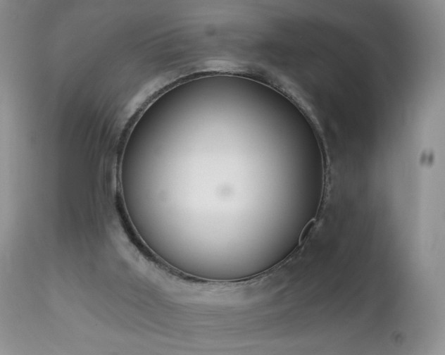 X0000112460011200908171214