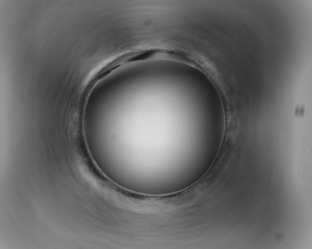 X0000112460012200908171214