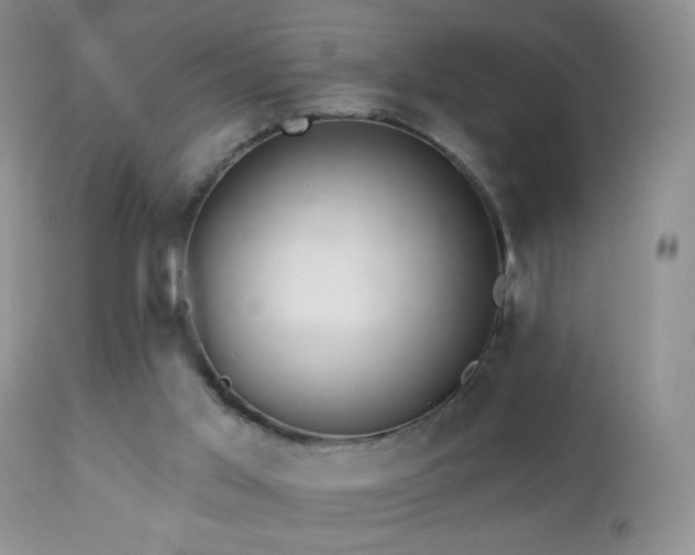 X0000112460013200908171214