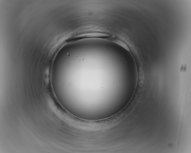 X0000112460014200908171214