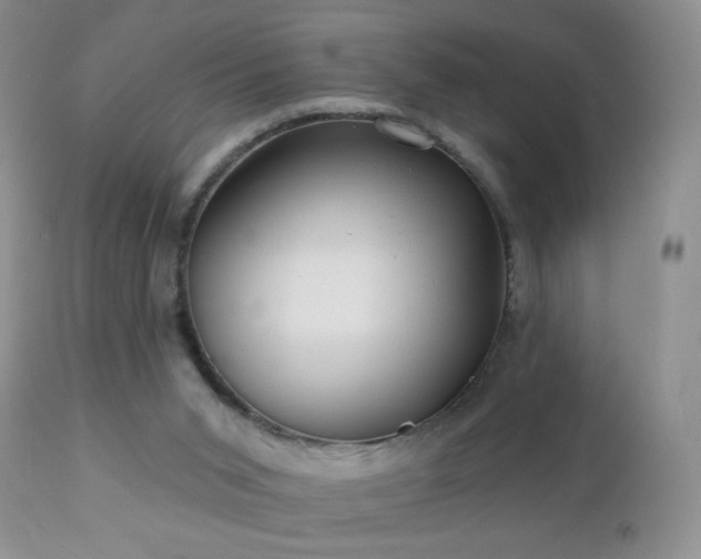 X0000112460015200908171214