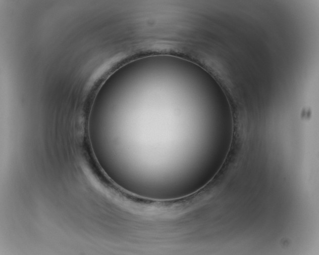 X0000112460016200908171214