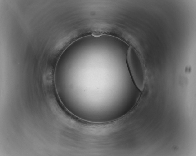 X0000112460017200908171214