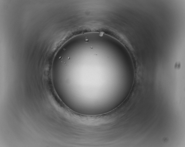 X0000112460018200908171214