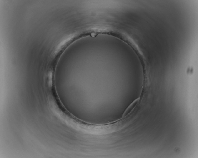 X0000112460019200908171214