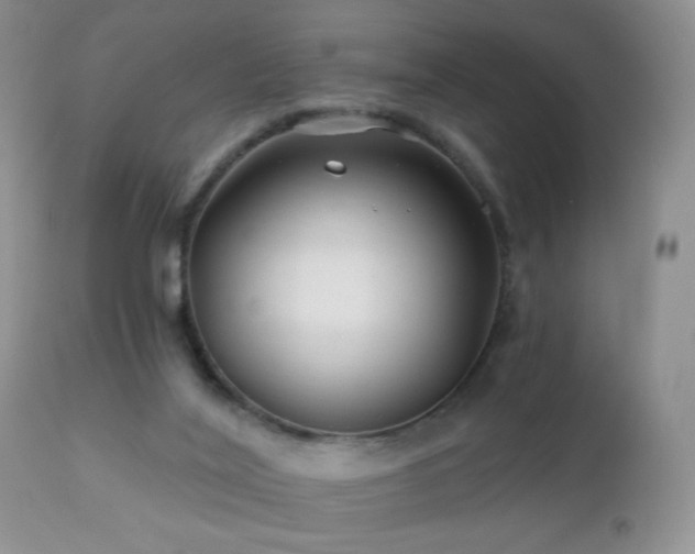 X0000112460020200908171214