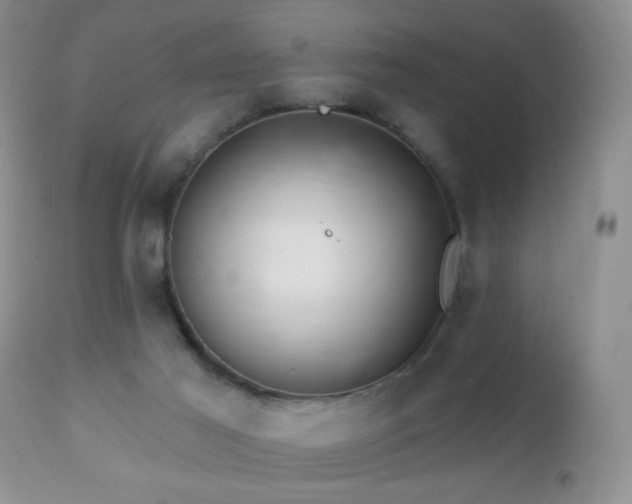 X0000112460021200908171214