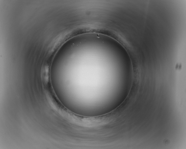 X0000112460022200908171214