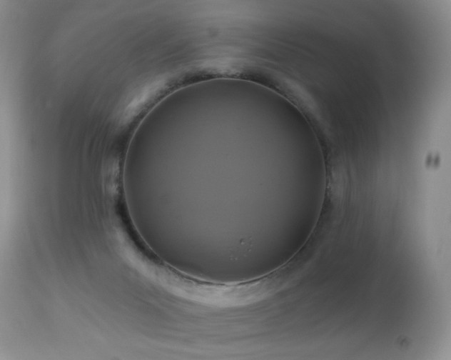 X0000112460023200908171214