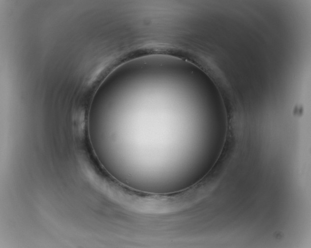 X0000112460024200908171214