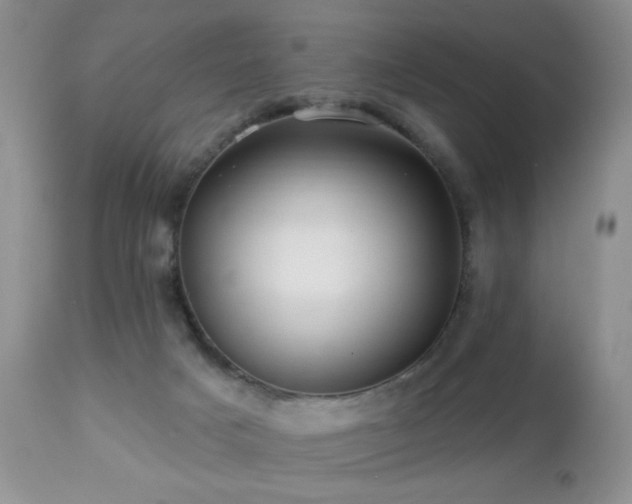 X0000112460025200908171214