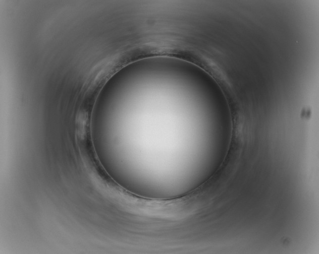 X0000112460026200908171213