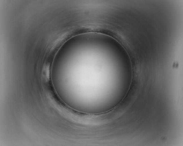 X0000112460028200908171213