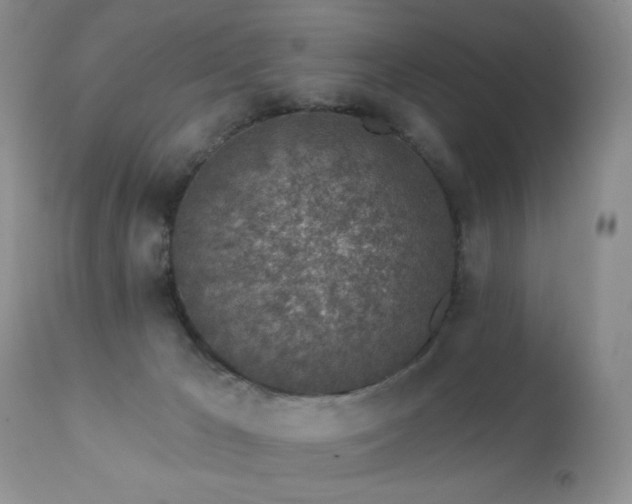 X0000112460029200908171213
