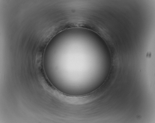 X0000112460030200908171213