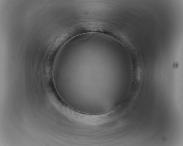 X0000112460031200908171213
