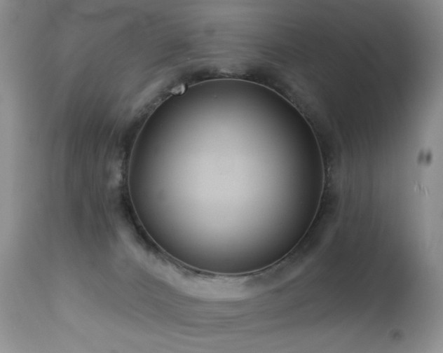 X0000112460032200908171213