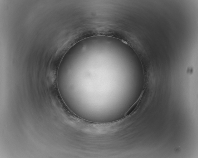 X0000112460033200908171213