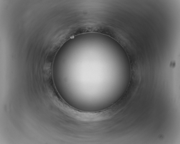 X0000112460034200908171213