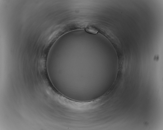 X0000112460035200908171213