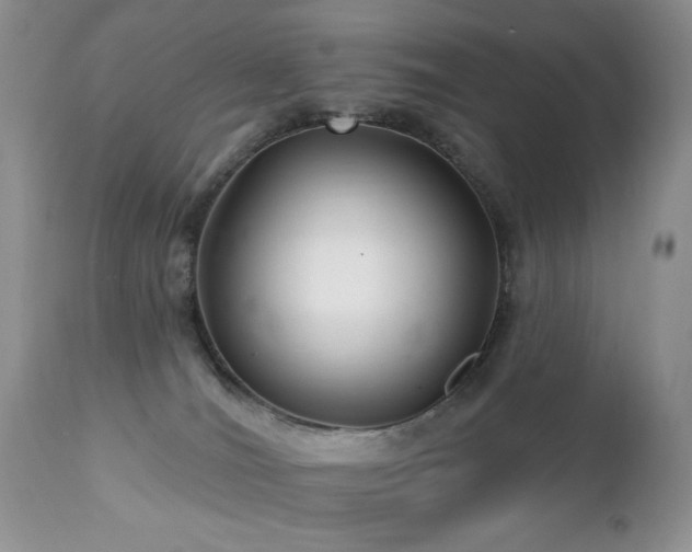 X0000112460036200908171213