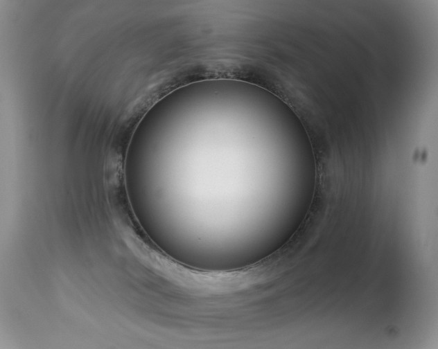 X0000112460038200908171213