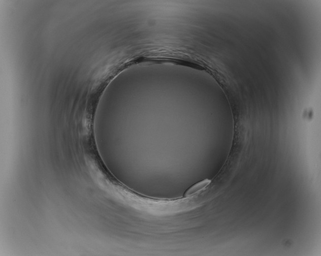 X0000112460039200908171213
