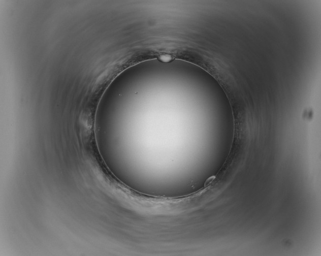 X0000112460040200908171213