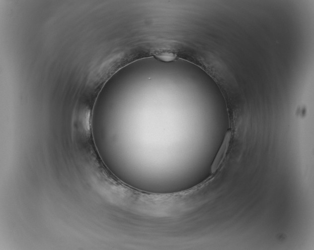 X0000112460041200908171213