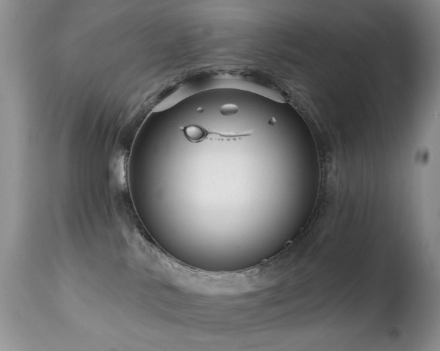 X0000112460042200908171213