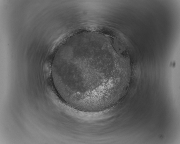 X0000112460043200908171213