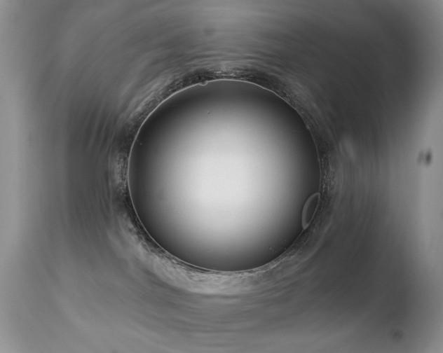 X0000112460044200908171213