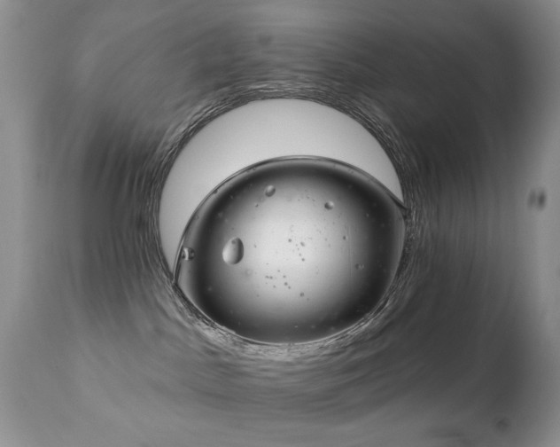 X0000112460045200908171213