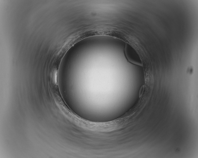 X0000112460046200908171213